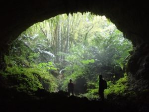 日本洞窟学会さんと洞窟訓練