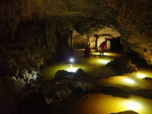 金色に輝く魅惑の洞窟